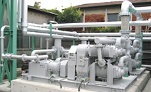 Dry vacuum pump (Wing Swing)